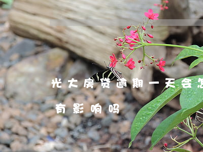 光大房贷逾期一天会怎样(光大房贷迟还一天有影响吗)
