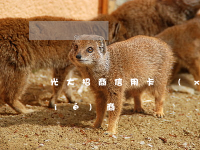 光大招商信用卡協(xié)商(光大 協(xié)商)