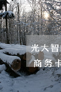 光大智能商务卡逾期了会怎么样-光大智能商务卡逾期了会怎么样吗