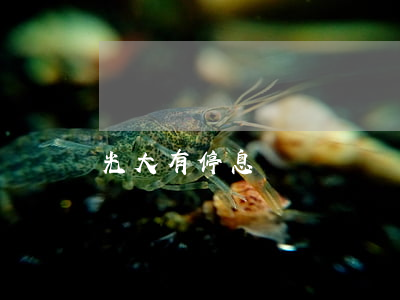 光大有停息掛賬