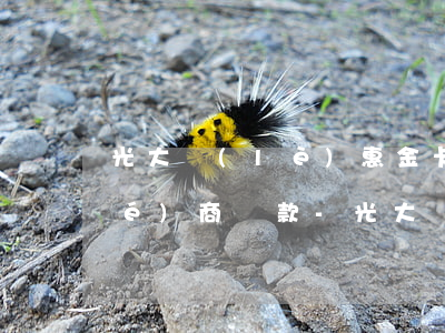 光大樂(lè)惠金卡逾期后怎樣協(xié)商還款-光大樂(lè)惠金卡逾期了怎么辦