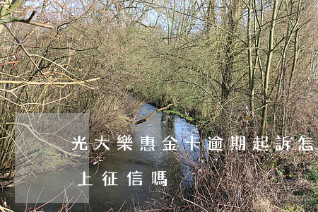 光大樂惠金卡逾期起訴怎么辦(光大樂惠金卡上征信嗎)