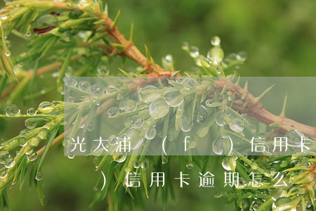 光大浦發(fā)信用卡逾期(光大浦發(fā)信用卡逾期怎么辦)