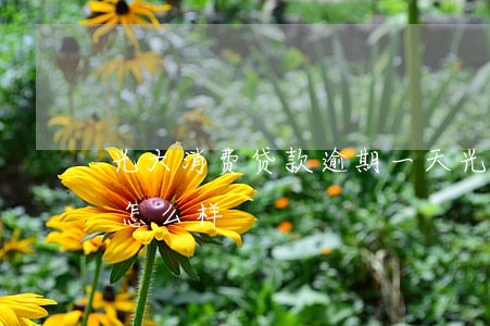 光大消费贷款逾期一天(光大房贷逾期一天会怎么样)