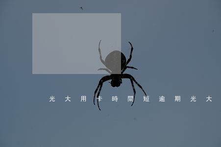 光大用卡時間短逾期(光大銀行卡會過期嗎)