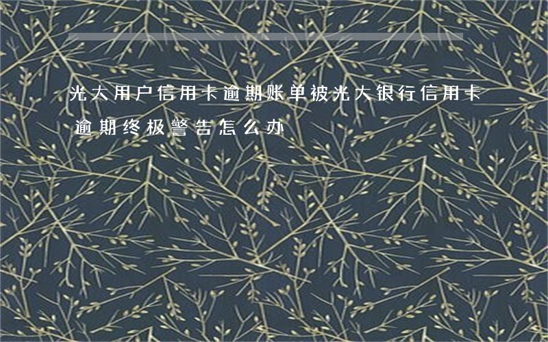光大用户信用卡逾期账单(被光大银行信用卡逾期终极警告怎么办?)