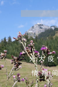 光大疫情期间信用卡逾期上征信吗-光大疫情期间信用卡逾期上征信吗有影响吗