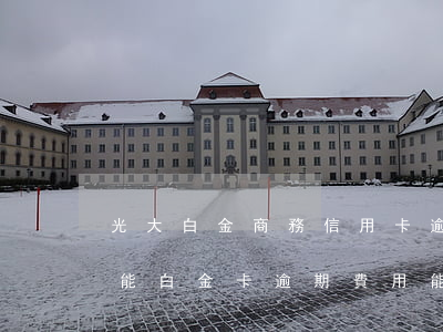 光大白金商務信用卡逾期十七天(光大商務智能白金卡逾期費用能減免嗎?)
