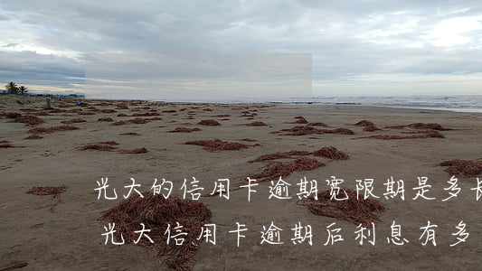 光大的信用卡逾期宽限期是多长时间上征信（光大信用卡逾期后利息有多少）