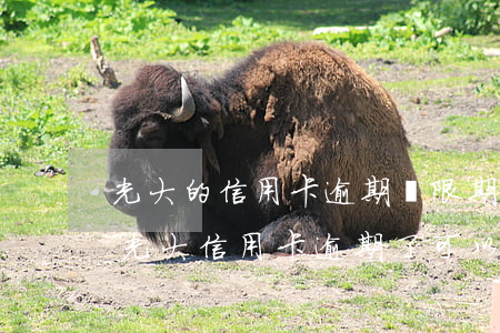 光大的信用卡逾期寬限期是多長時間上征信（光大信用卡逾期了可以分期嗎）