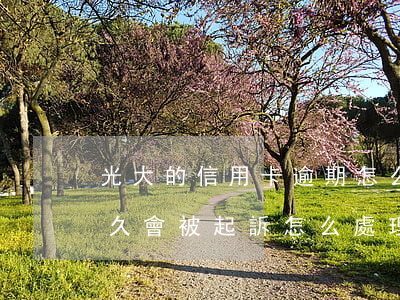 光大的信用卡逾期怎么算(光大信用卡逾期多久會被起訴怎么處理)