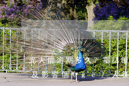 光大能逾期多久？電話催收時(shí)間及影響個(gè)人征信解析