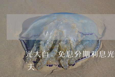 光大自選免息分期利息(光大銀行免息期多少天)