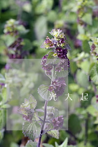 光大起訴信用卡逾期(光大銀行信用卡 起訴)