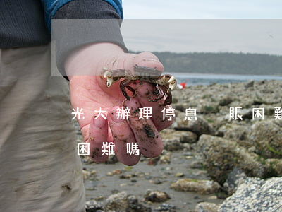 光大辦理停息掛賬困難嗎(光大辦理停息掛賬困難嗎)