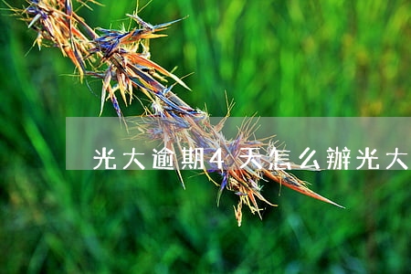 光大逾期4天怎么辦（光大逾期3天圖片）