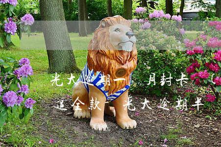 光大逾期一個月封卡轉(zhuǎn)本地追全款-光大逾期半個月會封卡嗎