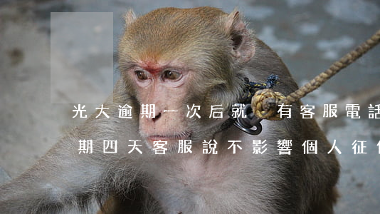 光大逾期一次后就沒有客服電話了-光大逾期四天,客服說不影響個人征信