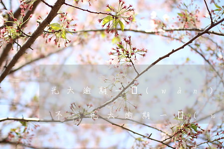 光大逾期一萬(wàn)二每月還三千可以不-光大逾期一萬(wàn)多超過(guò)3個(gè)月