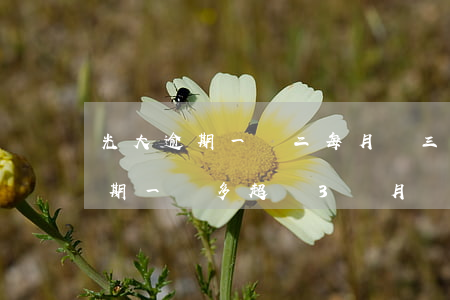 光大逾期一萬二每月還三千可以不-光大逾期一萬多超過3個月