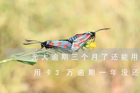 光大逾期三个月了还能用信用卡吗(欠光大信用卡3万逾期一年没还怎么办)