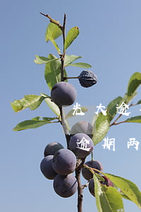 光大逾期两个月怎么不给打电话-光大银行逾期两个月给我打电话说立案了