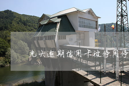 光大逾期信用卡被停用(停用光大银行信用卡)