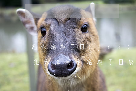 光大逾期凍結(jié)的信用卡怎么解凍（光大信用卡逾期了還能消除嗎）