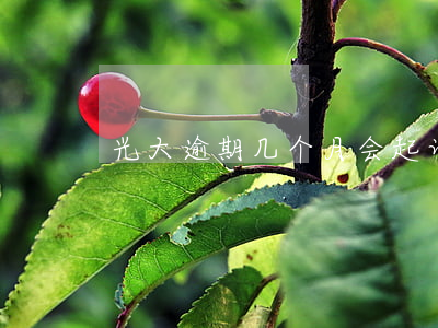 光大逾期几个月会起诉（逾期被浦发起诉光大）