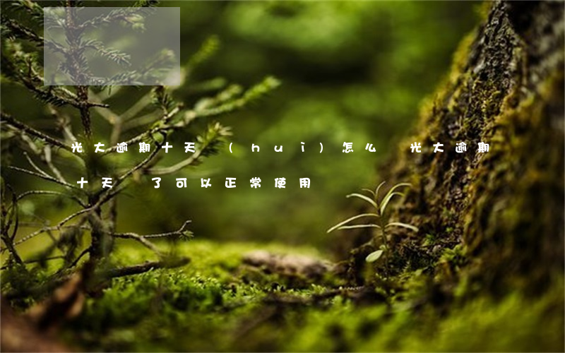 光大逾期十天會(huì)怎么樣(光大逾期十天還了可以正常使用嗎)