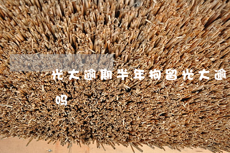 光大逾期半年拘留(光大逾期两天还款有影响吗)