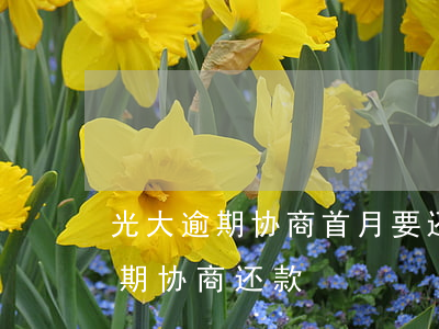 光大逾期协商首月要还百分之30-光大逾期协商还款