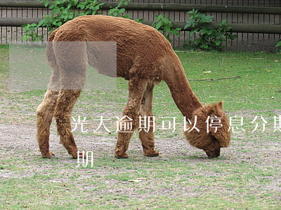 光大逾期可以停息分期吗(光大信用卡停息分期)