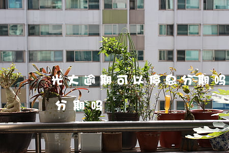 光大逾期可以停息分期吗(光大逾期可以停息分期吗)