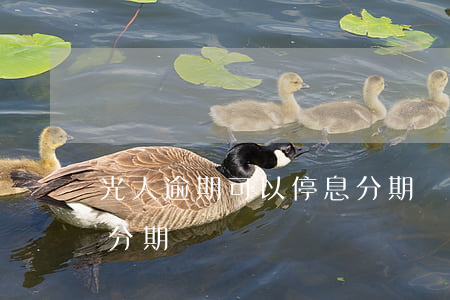 光大逾期可以停息分期嗎(光大逾期可以停息分期嗎)