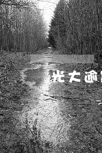 光大逾期后全額還款(光大延期還款)