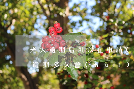 光大逾期后可以在申請(qǐng)嗎(光大逾期多久會(huì)被起訴)