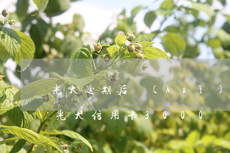 光大逾期后會(huì)降低信用卡額度么(光大信用卡3000額度逾期兩年多了 會(huì)怎樣)