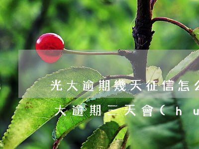 光大逾期幾天征信怎么體現(xiàn)(光大逾期三天會(huì)上征信嗎?)