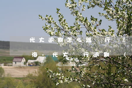 光大逾期怎么跟銀行協(xié)商還款上海-光大銀行逾期協(xié)商還款方式協(xié)商多少