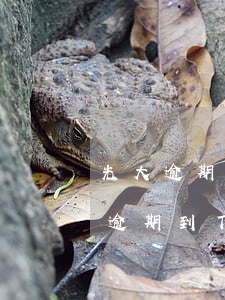 光大逾期是按賬單日還是還款日-光大銀行逾期到下個賬單日