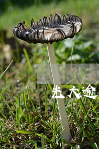 光大逾期會(huì)怎樣(光大逾期一天)