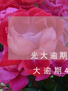 光大逾期本金4万多会被起诉吗(亲身经历光大逾期4个月2018)