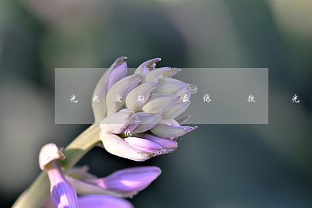 光大逾期還最低還款額(光大逾期多久就不能還最低)