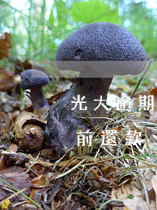 光大逾期還款不能取現(xiàn)(光大提前還款)