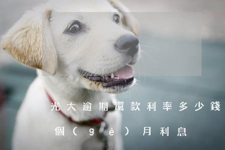 光大逾期還款利率多少錢(光大逾期一天,還一個(gè)月利息)