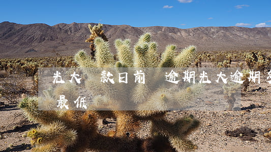 光大還款日前說逾期(光大逾期多久就不能還最低)