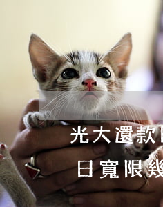 光大還款日后幾天算逾期(光大銀行到期還款日寬限幾天)