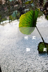 光大銀行8萬信用卡逾期(光大銀行信用卡逾期幾天不算逾期)
