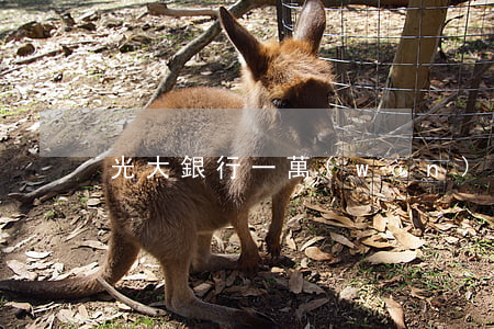 光大銀行一萬(wàn)逾期多久被起訴